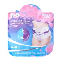 single_use_postpartum_absorbent_panties_size_m_a738ad7d92